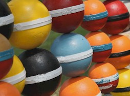 Zillies Photo Gallery