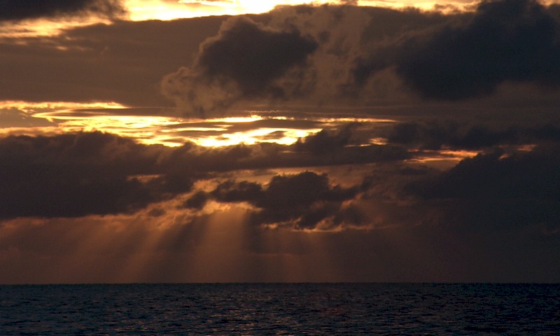 Zillies Rental Insurance