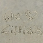 We Love Zillies